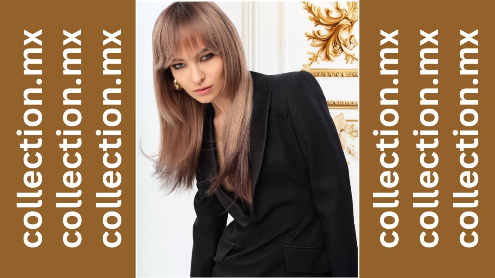 HCF presenta ADN collection