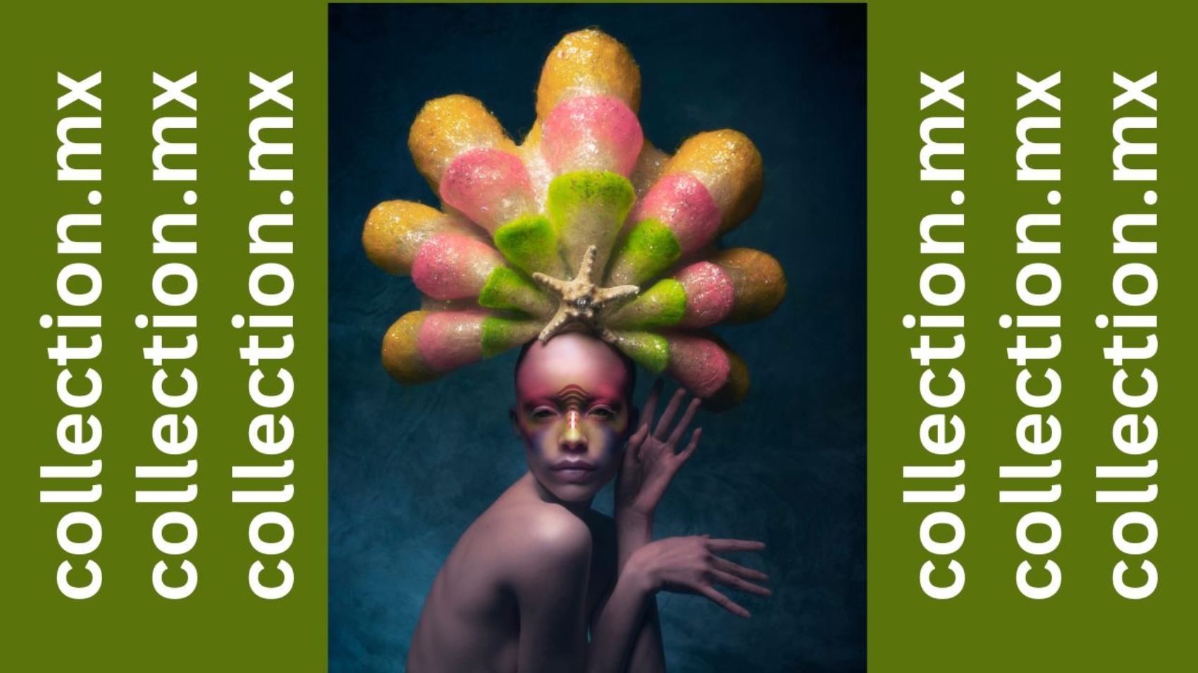 IGNAZIO_ANIMALES_MARINOS_cover