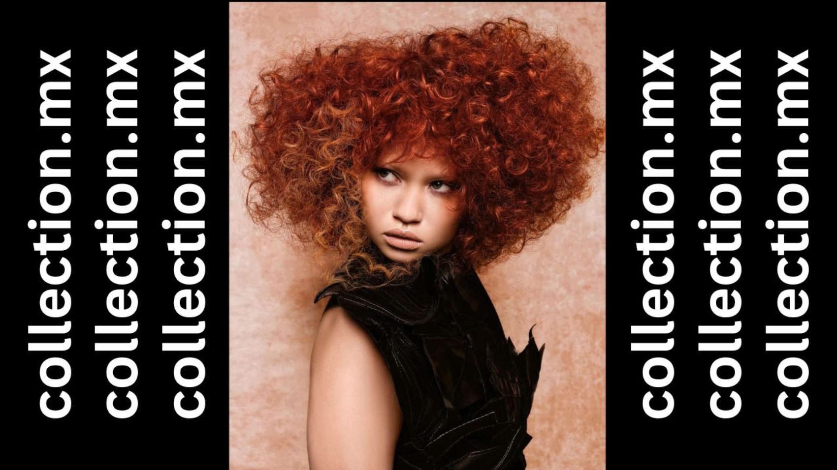 MICHELLE SUMMERS DAVIES presenta MODULUX X collection_cover