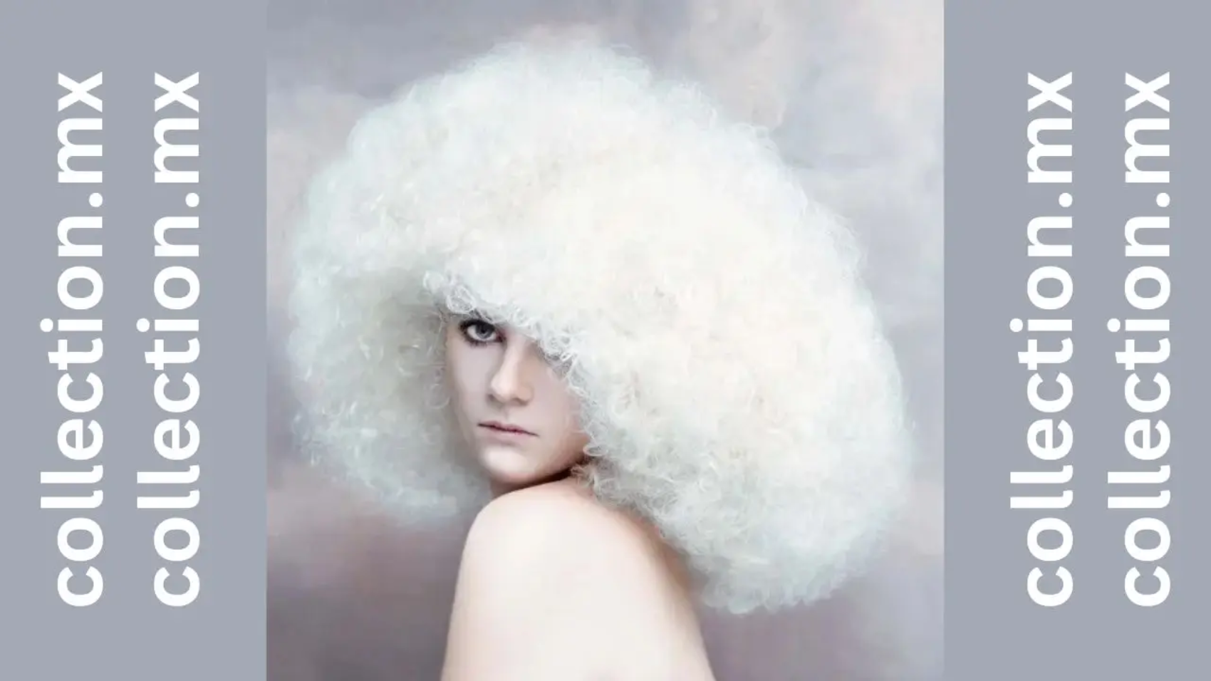 SHELLEY LANE presenta CLOUD DANCER collection_cover