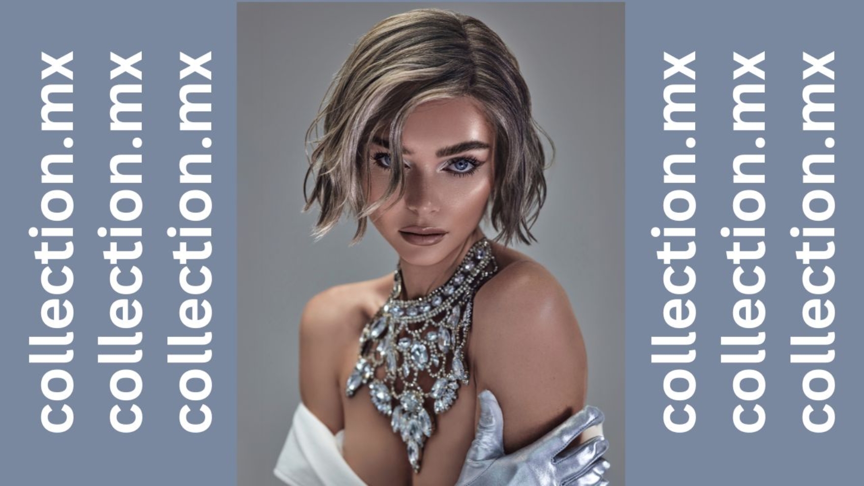 ERIC_ZEMMOUR_SILVER_cover