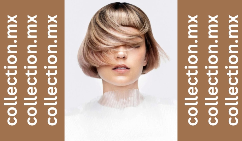 MARK VAN WESTEROP presenta ILLUME collection_cover